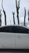 Автошторки Трокот на заднюю полусферу из 3-х элементов, задние: двери и ветровое стекло для Mazda 6 ( 3 поколение )(2012-наст.время) Седан